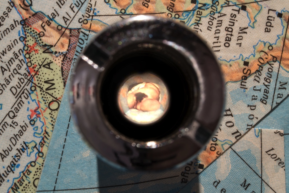 El Origen Del Mundo (Detalle)